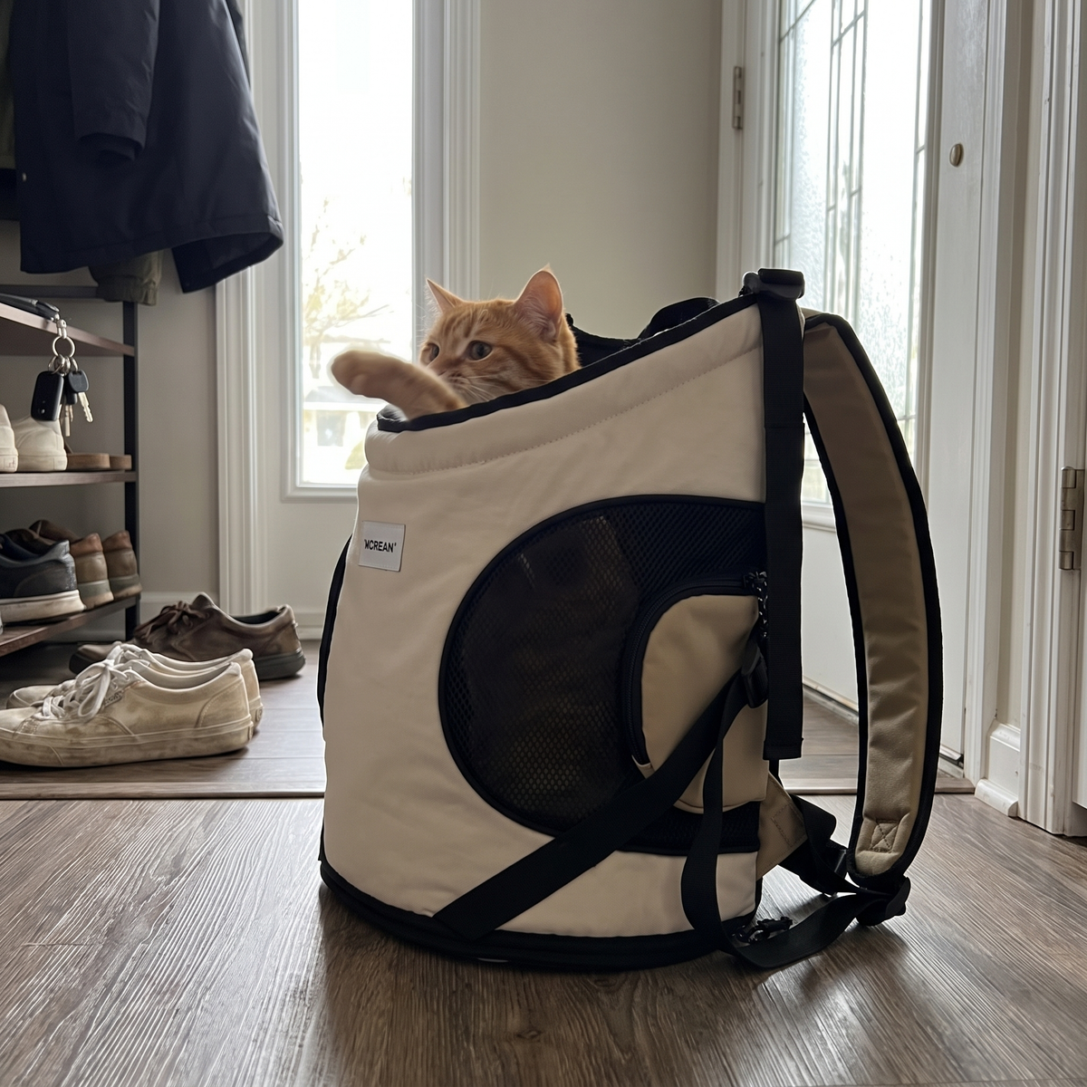 Cat Front Carrier Backpack | Mesh Window, Crossed Straps, Up to 13 lb
