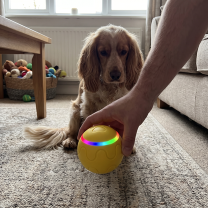 Self-Rolling Dog Ball with LED Lights | Interactive Toy, 3.1 in