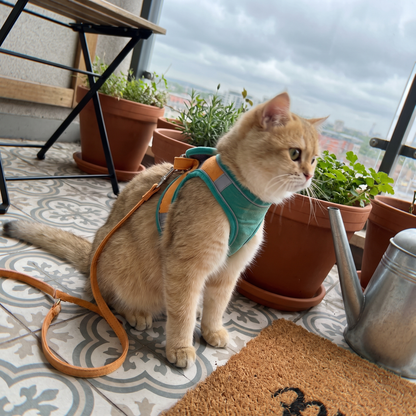 Cat Harness and Leash Set, Two-Tone Vest | Reflective Strip | S to XL