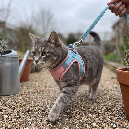 Cat Harness and Leash Set, Two-Tone Vest | Reflective Strip | S to XL