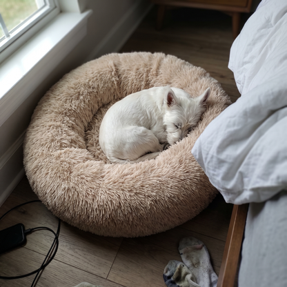 Donut Dog Bed with Raised Rim | Removable Washable Cover | S to XXL