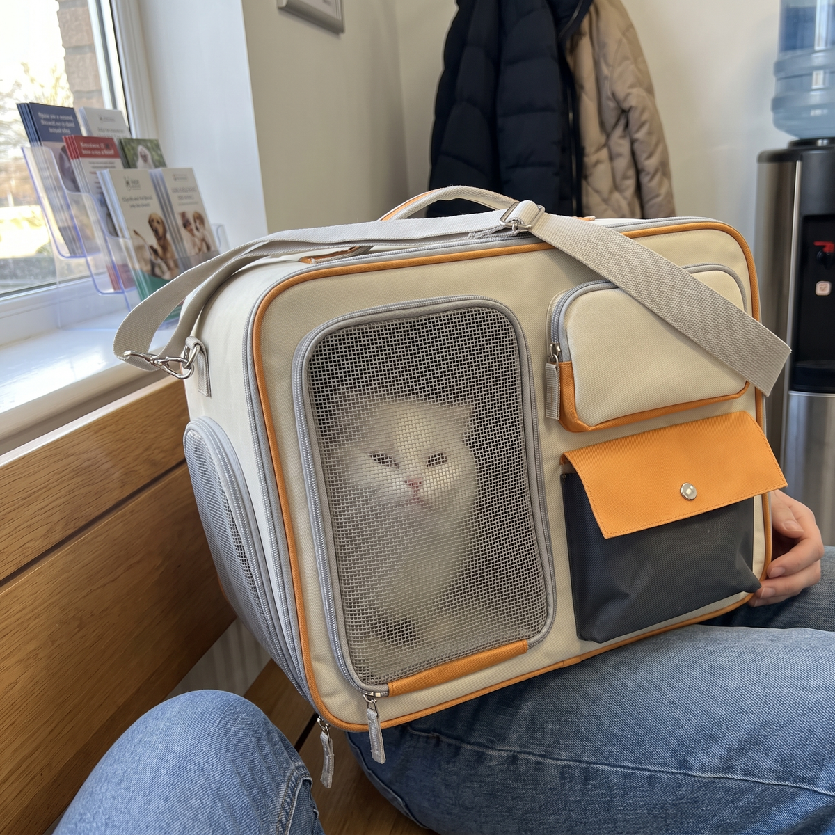 Cat Carrier with Wheels | Detachable Trolley, Shoulder Strap | 2 Colors