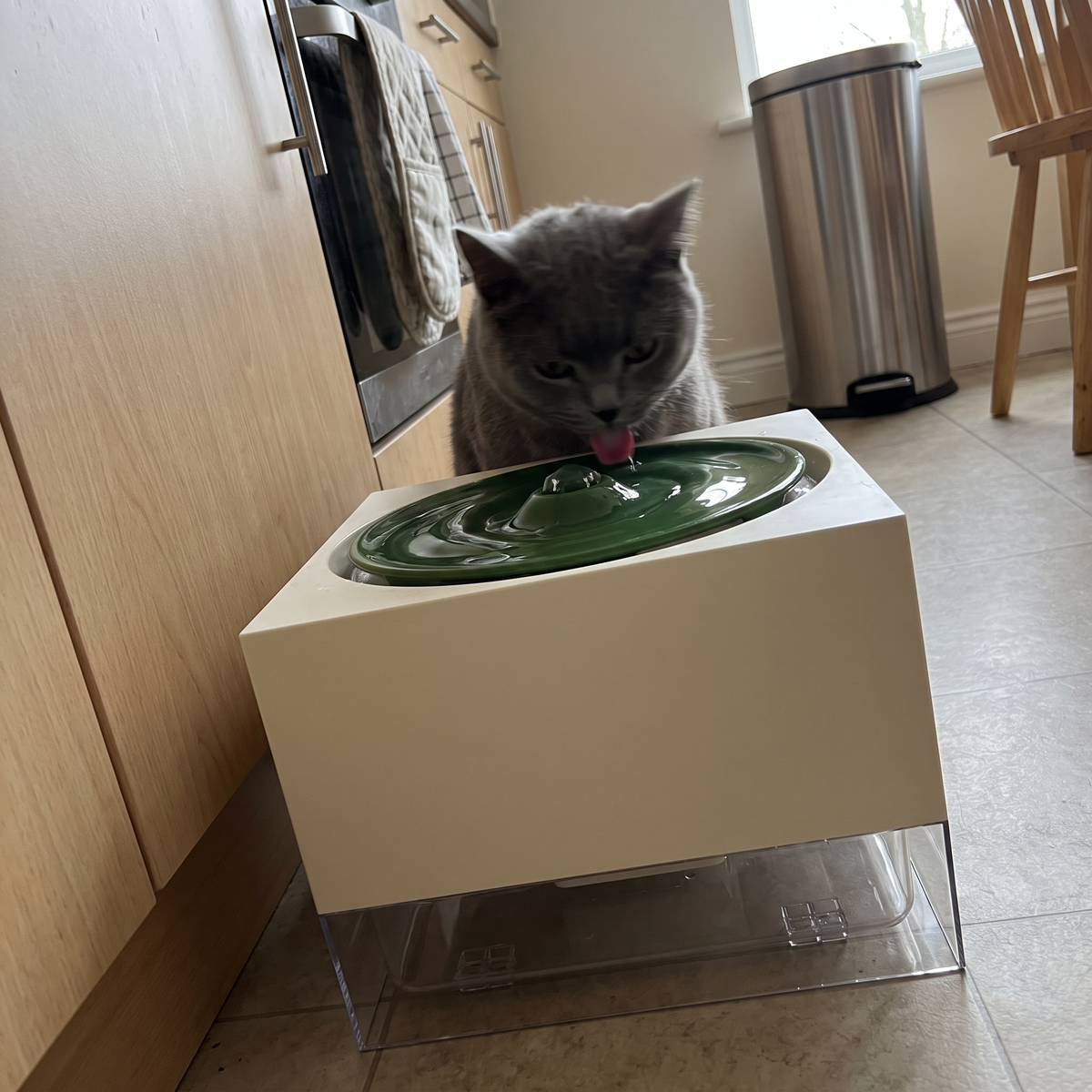 Cat Water Fountain, Record Player Design | 67.6 oz | Matching Food Bowl