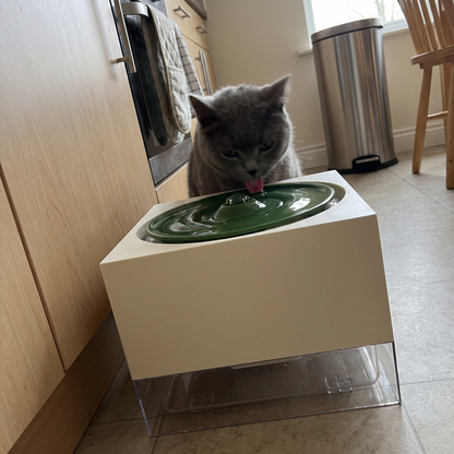 Cat Water Fountain, Record Player Design | 67.6 oz | Matching Food Bowl