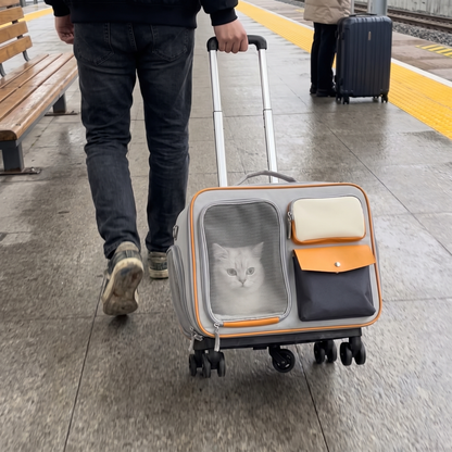 Cat Carrier with Wheels | Detachable Trolley, Shoulder Strap | 2 Colors
