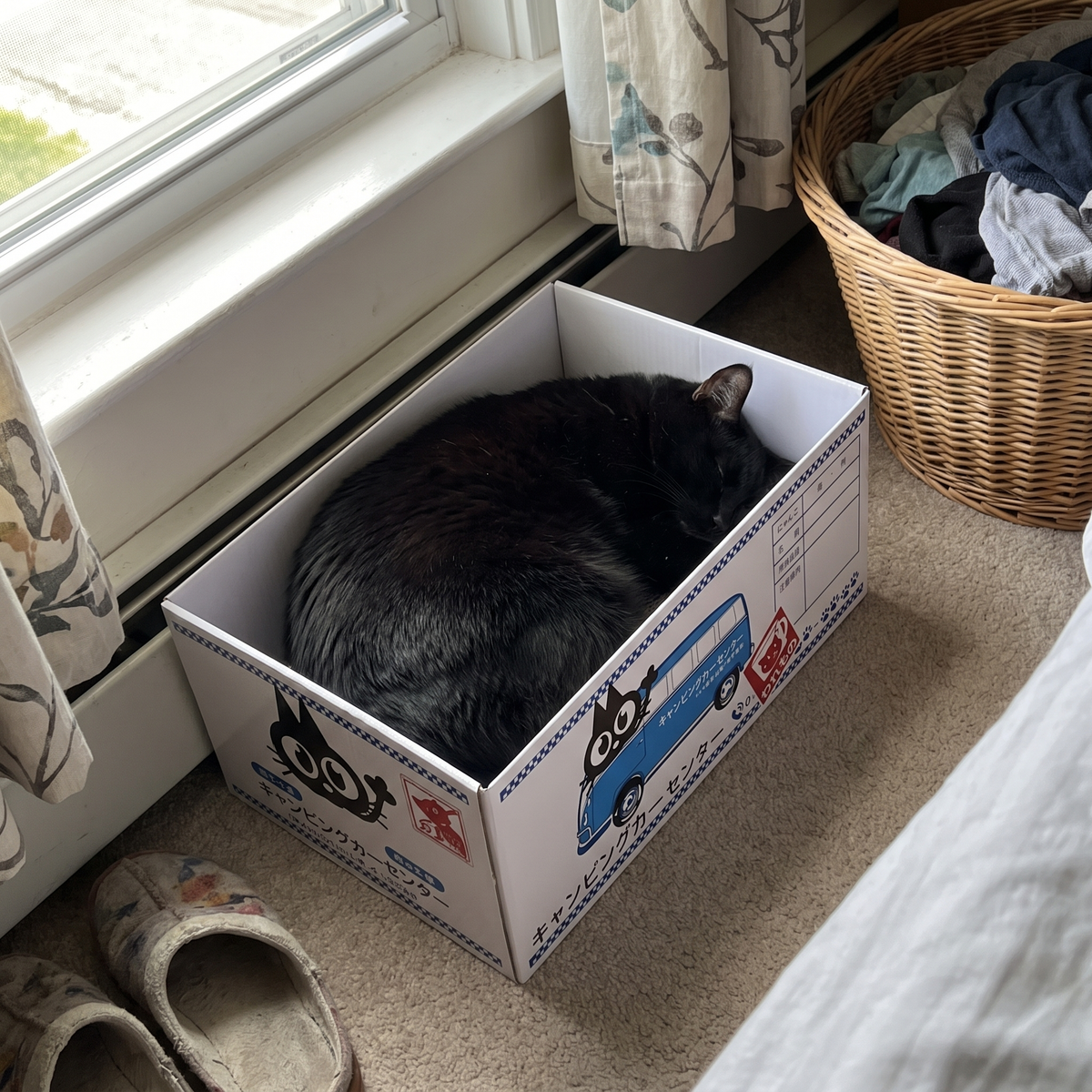Cardboard Cat Scratcher Box Bed | Japanese Print Designs | 2 Sizes