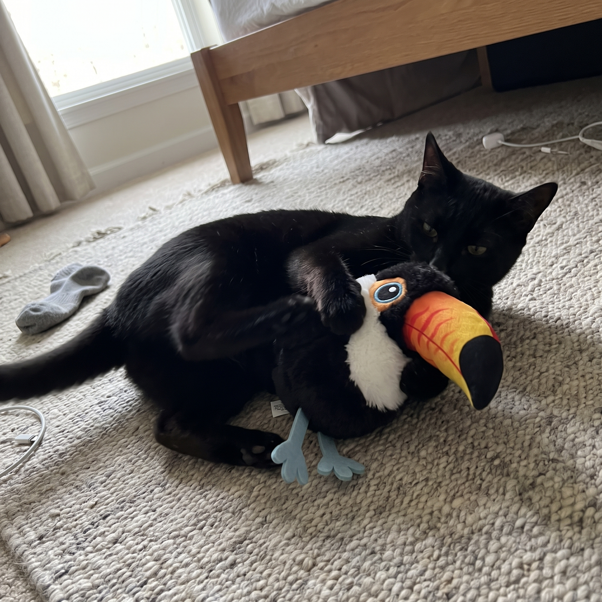 Plush Flapping Bird Cat Toy | 3 Wing Modes | USB-C Rechargeable