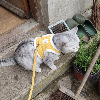 Cat Vest Harness and Leash Set | Rabbit Patch, Plush Trim | XXS to L