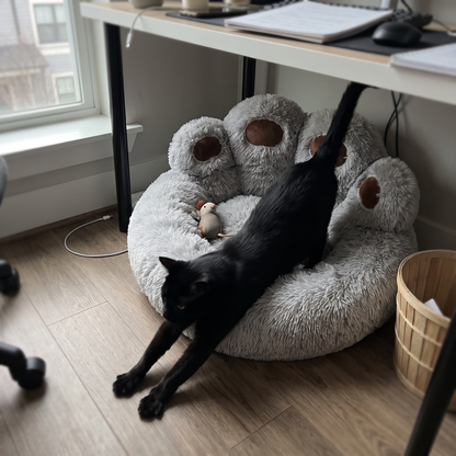 Fluffy Cat Bed with Backrest | Green Monster or Paw Shape | M to XL
