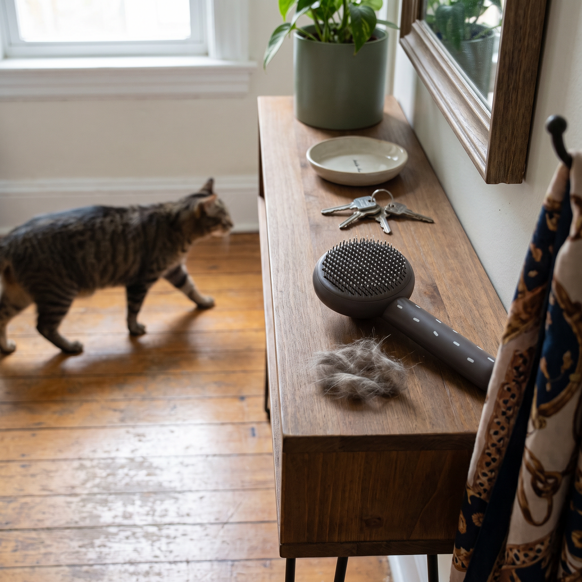 Self-Cleaning Cat Brush | One-Press Hair Release | Steel Bristles