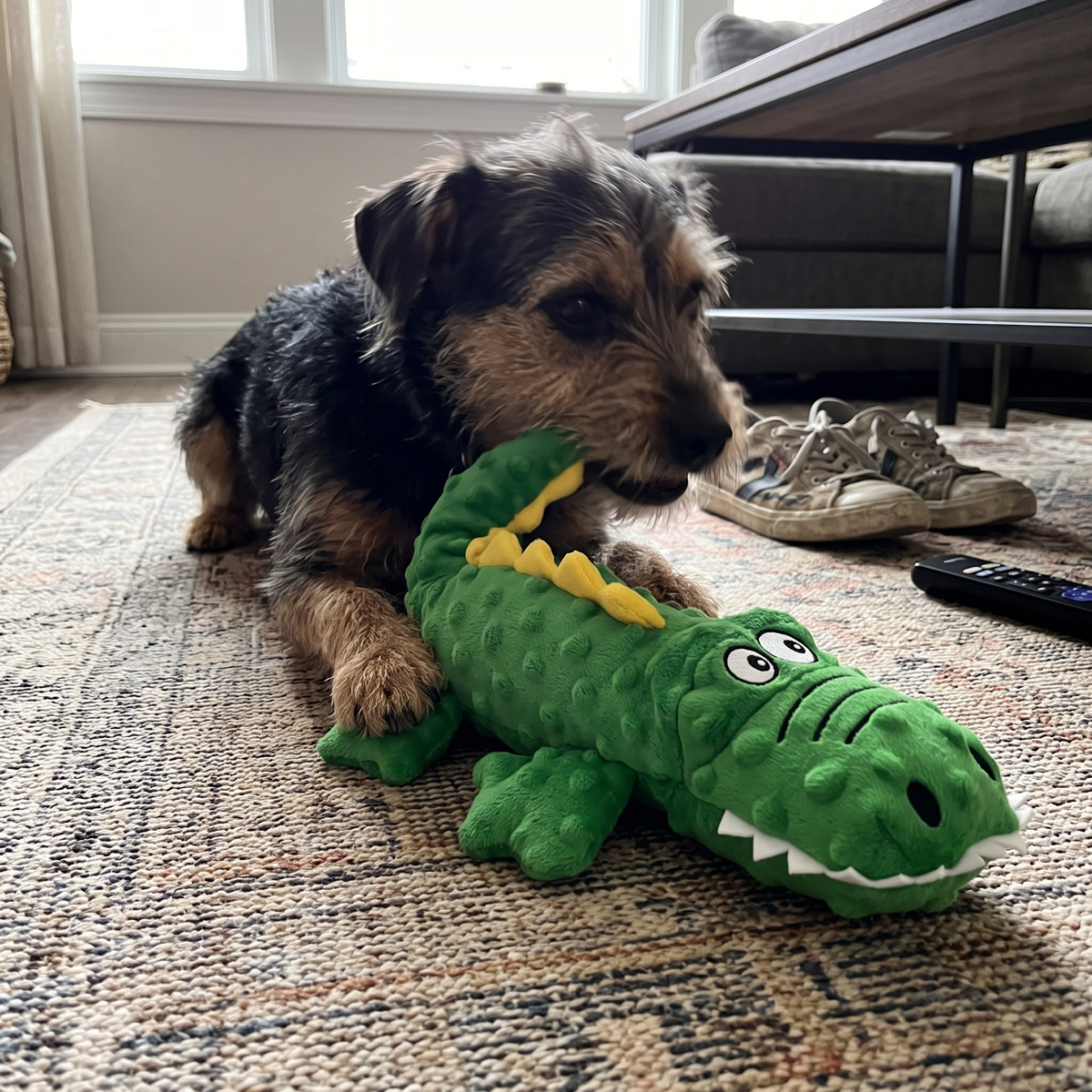 Squeaky Crocodile Dog Toy | Plush with Crinkle Paper | 14.6 in