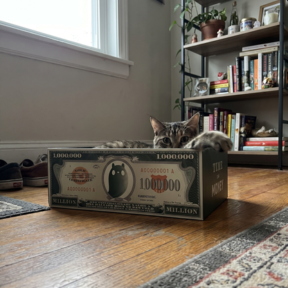 Catnip Cat Toy, Dollar Bill Pillow | Crinkle Paper | Box and Bed Options