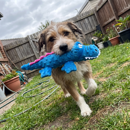 Squeaky Crocodile Dog Toy | Plush with Crinkle Paper | 14.6 in