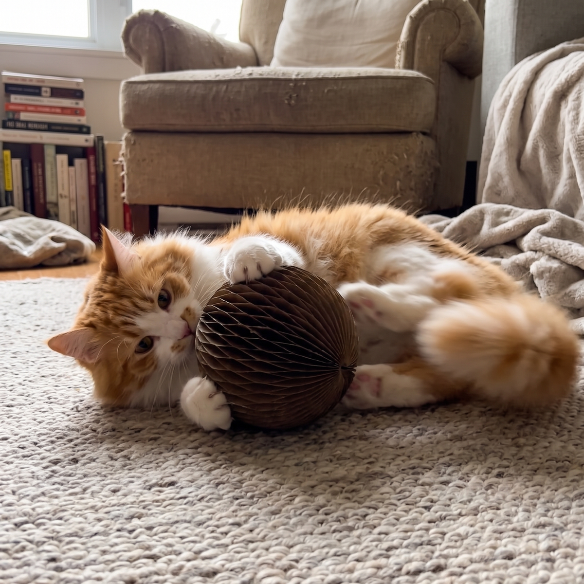 Cardboard Cat Scratcher Ball | Honeycomb with Inner Ball