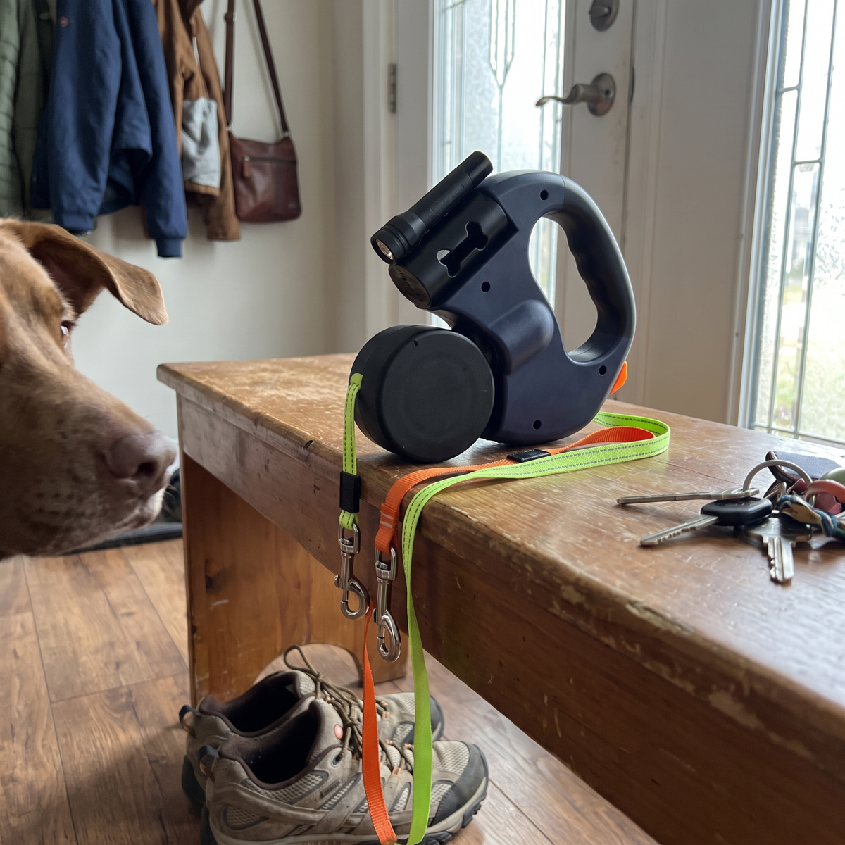 Dual Retractable Dog Leash for Two Dogs | 360° Swivel | LED Light