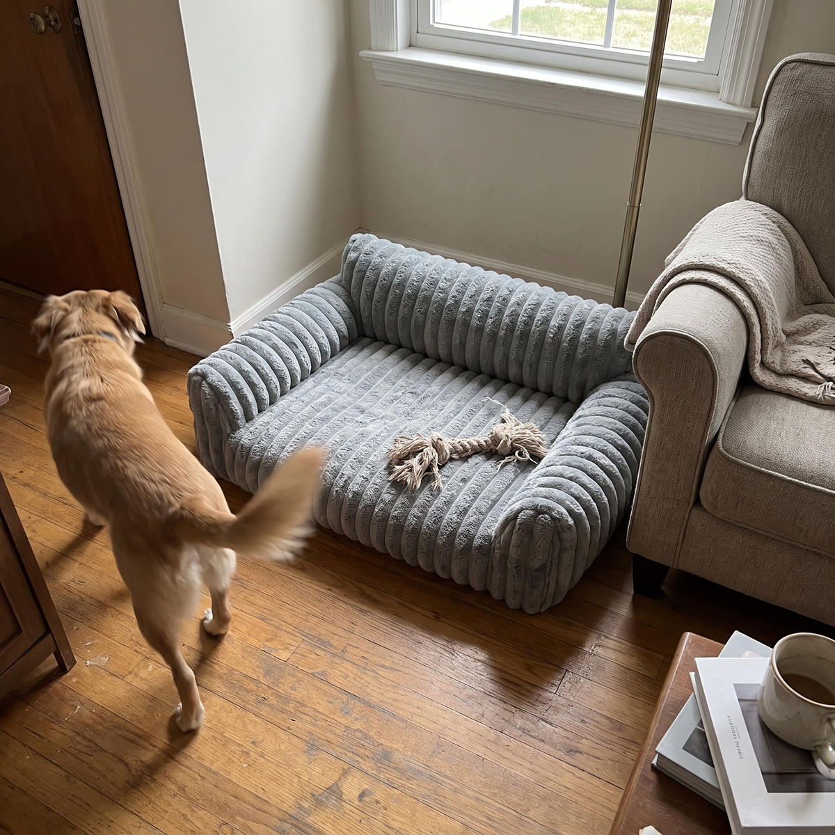 Plush Pet Sofa Bed with Bolsters | Washable Cover | S to L