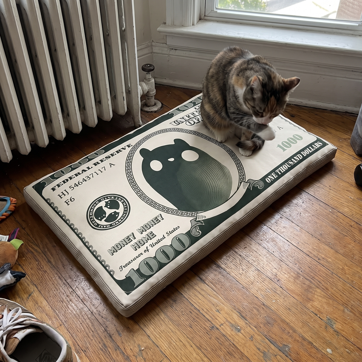 Catnip Cat Toy, Dollar Bill Pillow | Crinkle Paper | Box and Bed Options