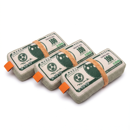 Catnip Cat Toy, Dollar Bill Pillow | Crinkle Paper | Box and Bed Options
