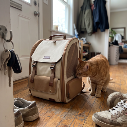 Vintage Cat Carrier Bag | Backpack, Handbag or Tote, 7 Styles, up to 18 lb