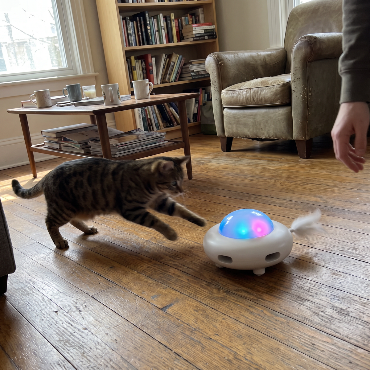 Self-Moving Cat Toy Robot | Pop-Out Feathers, Light-Up Dome