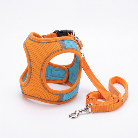 Cat Harness and Leash Set | Vest Style for Outdoor Walks, XS to L