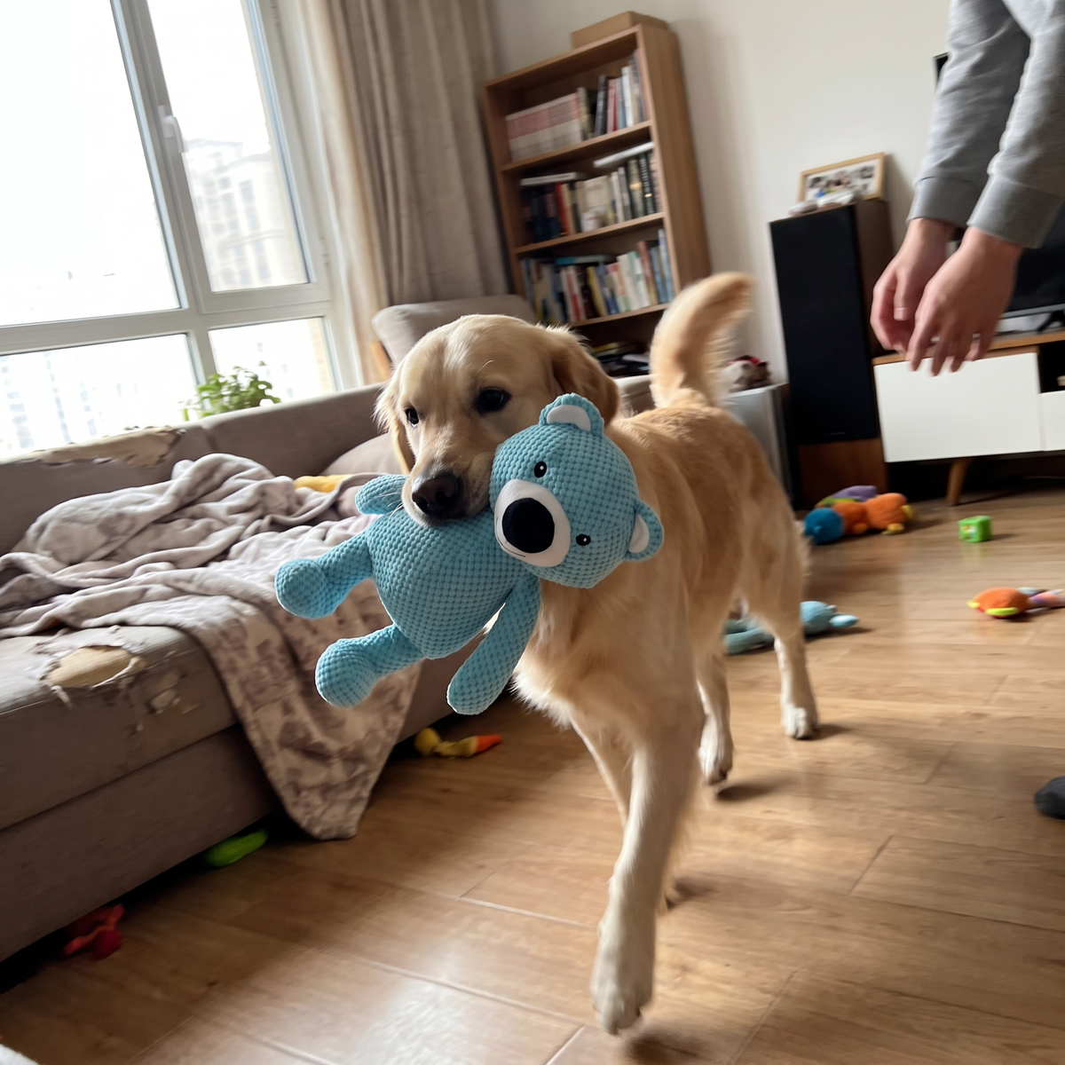 Plush Bear Dog Toy with Squeaker | 16.5 in, Tug and Fetch, Washable