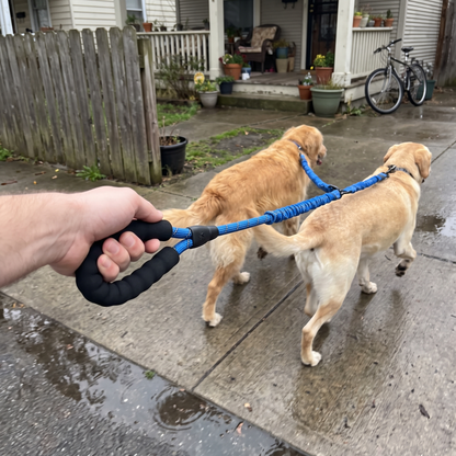 Double Dog Leash for Two Dogs | Tangle-Free Swivel, Bungee Leads, 10 Colors