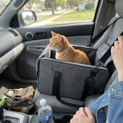 Cat Car Seat Carrier | Open-Top Booster with Safety Tether and Shoulder Strap