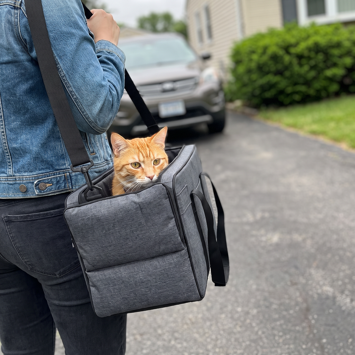 Cat Car Seat Carrier | Open-Top Booster with Safety Tether and Shoulder Strap