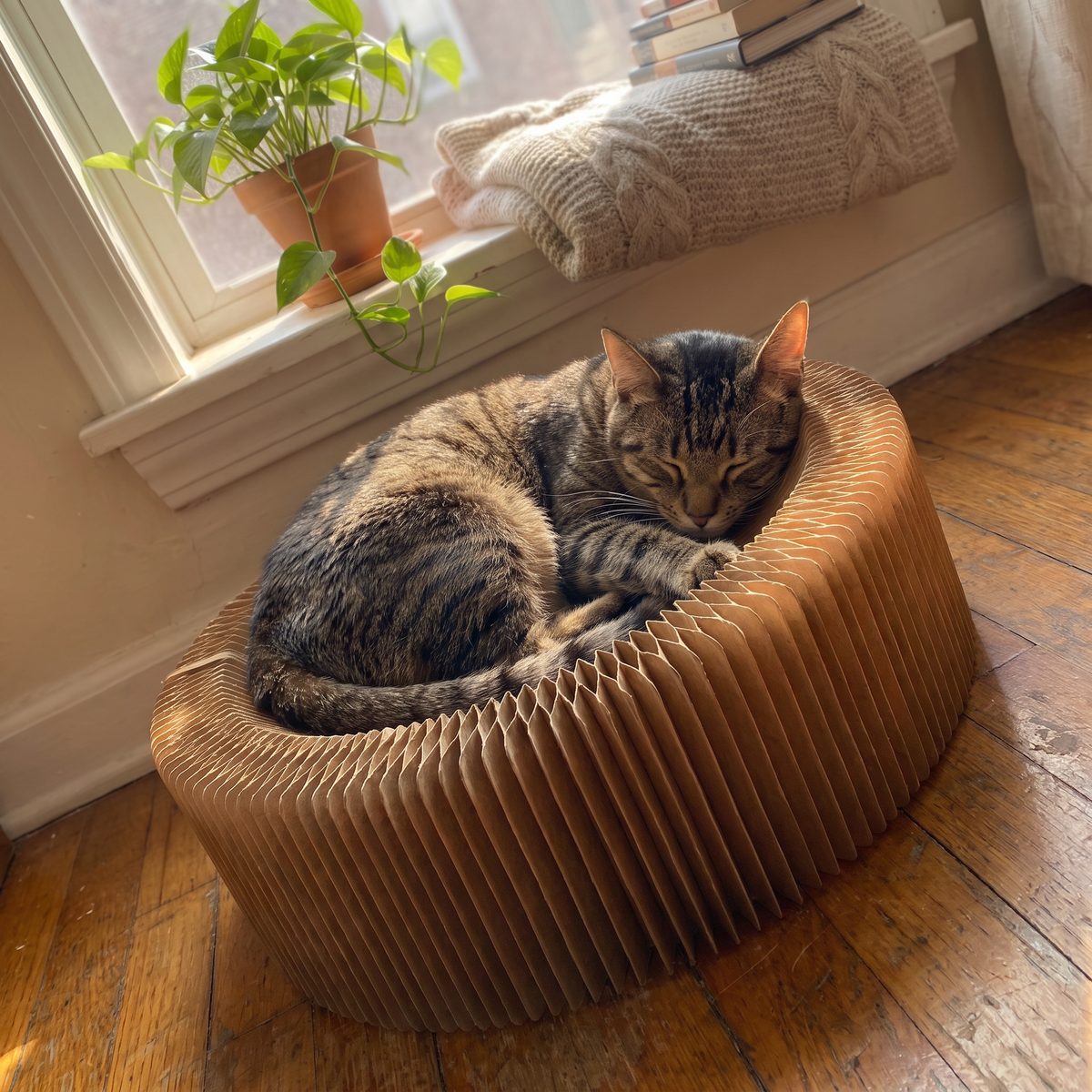 Large Accordion Cat Scratcher Bed | Corrugated Cardboard, 19.7 in