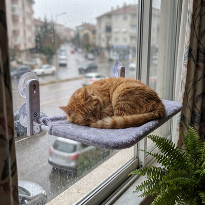 Cat Window Hammock with Suction Cups | Reversible, Washable Cover