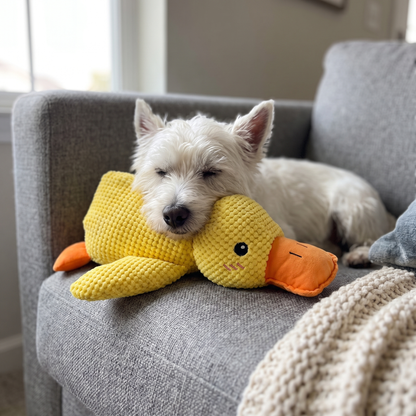 Squeaky Duck Dog Toy | Durable Plush for Heavy Chewers