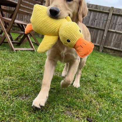 Squeaky Duck Dog Toy | Durable Plush for Heavy Chewers