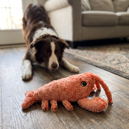 Floppy Lobster Dog Toy | Interactive and USB Rechargeable