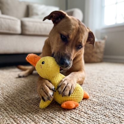 Squeaky Duck Dog Toy | Durable Plush for Heavy Chewers