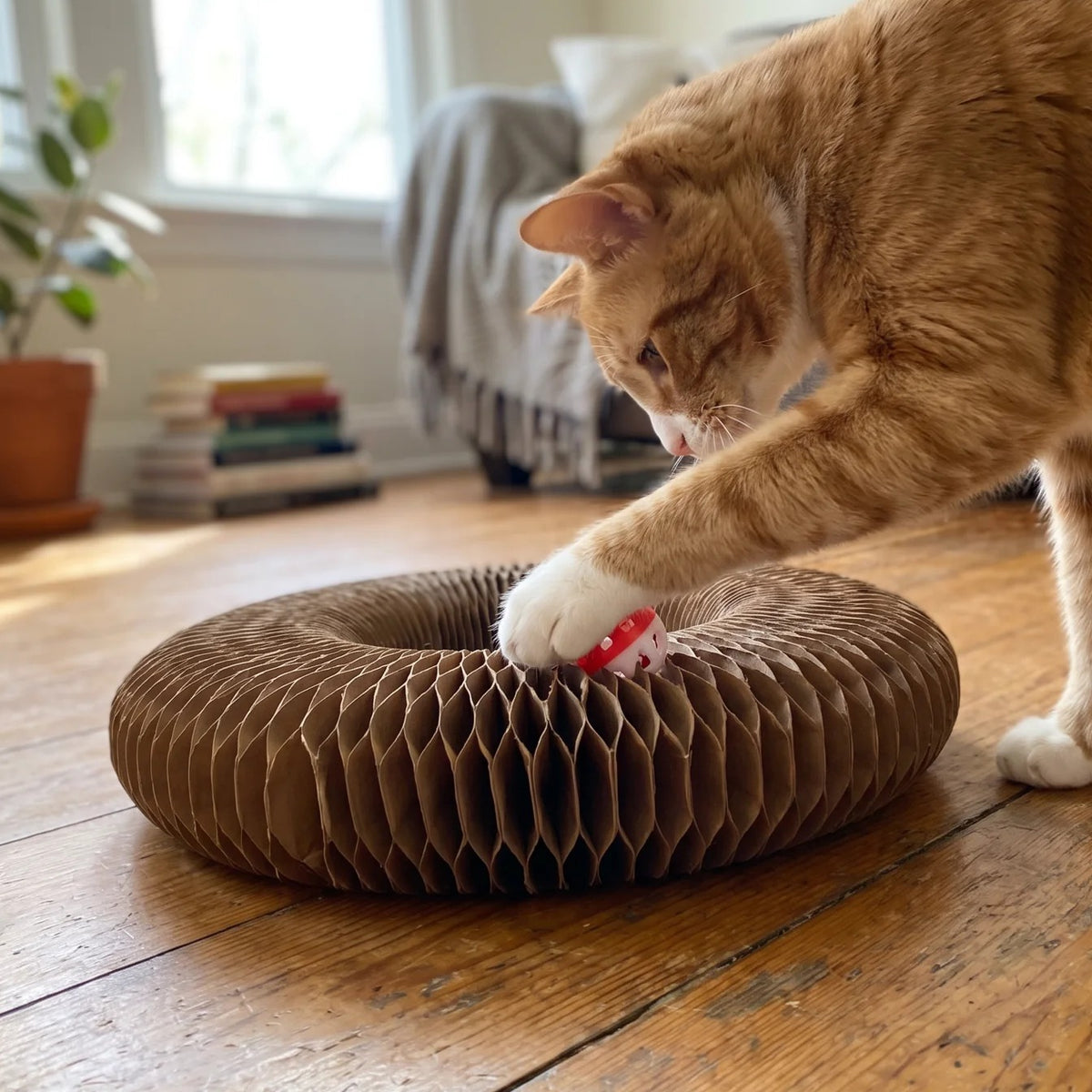 Accordion Cat Scratcher Toy with Ball | Corrugated Cardboard Ring