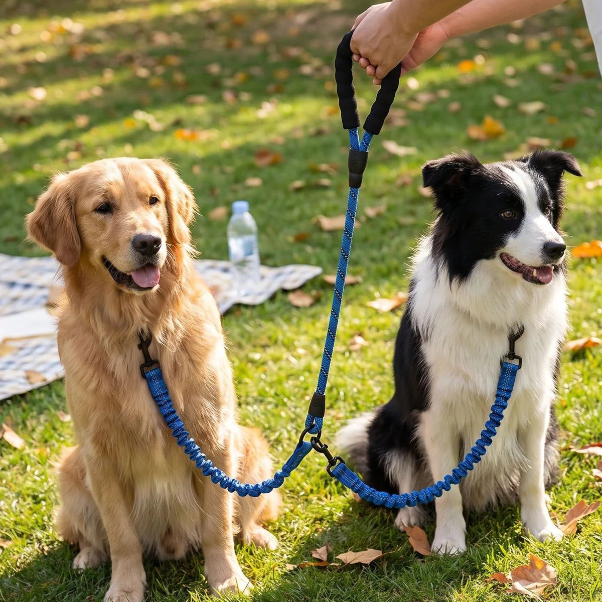 Double Dog Leash for Two Dogs | Tangle-Free Swivel, Bungee Leads, 10 Colors