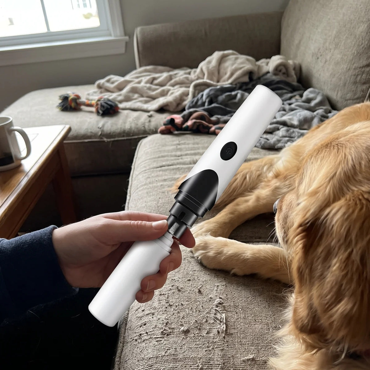 Dog and Cat Nail Grinder | Low Noise, 2 Speeds, USB Rechargeable