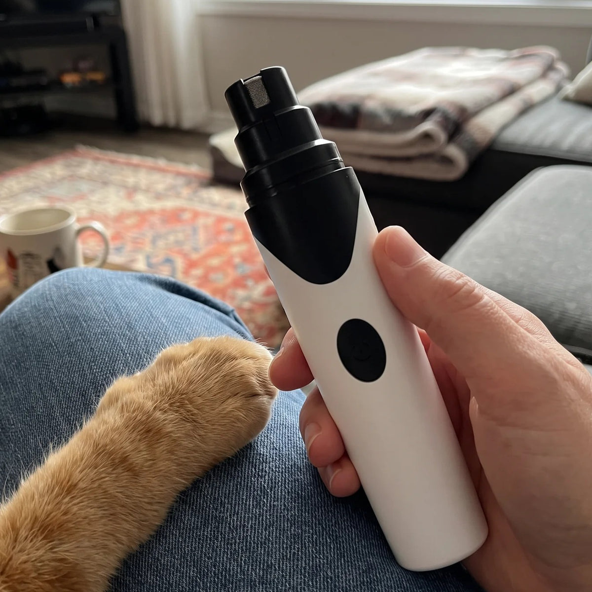 Dog and Cat Nail Grinder | Low Noise, 2 Speeds, USB Rechargeable