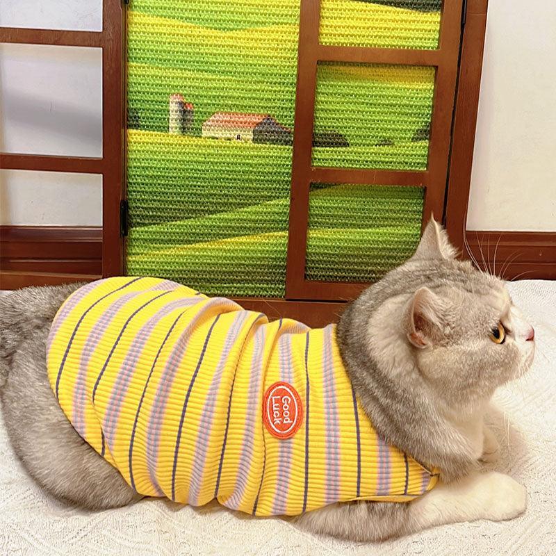 Wall Cat Scratcher, Window Frame Design | Countryside Scene, Solid Wood, 15.7 x 23.6 in