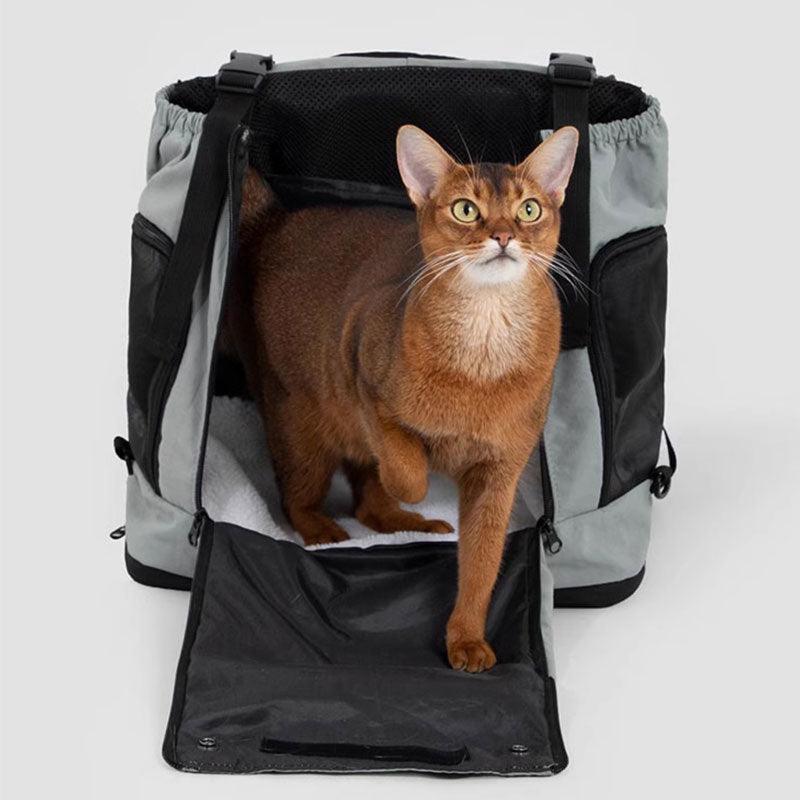 Hiking Cat Backpack Carrier | Wear Front or Back, Mesh Sides, up to 15 lb