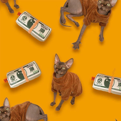 Catnip Cat Toy, Dollar Bill Pillow | Crinkle Paper | Box and Bed Options