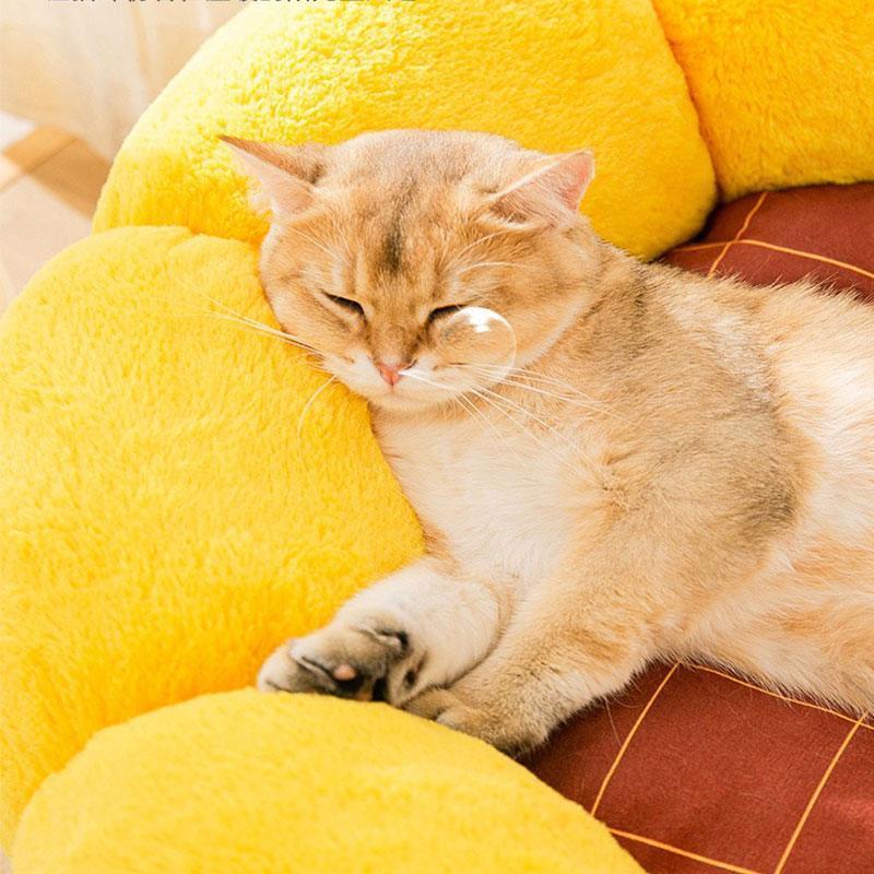 Cat Bed, Cactus or Sunflower Shape | Fluffy Plush, M or L