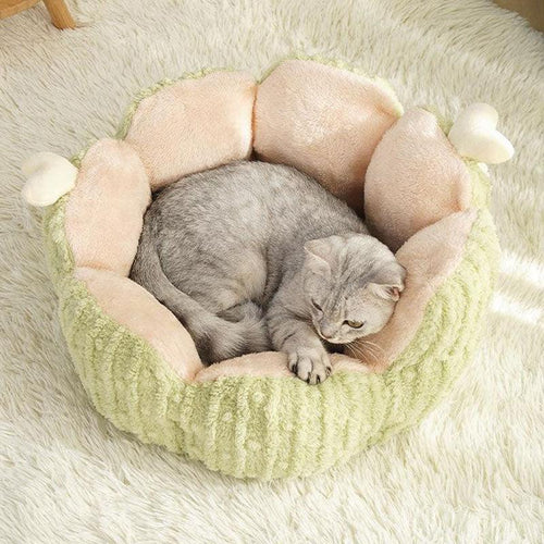 Cat Bed, Cactus or Sunflower Shape | Fluffy Plush, M or L