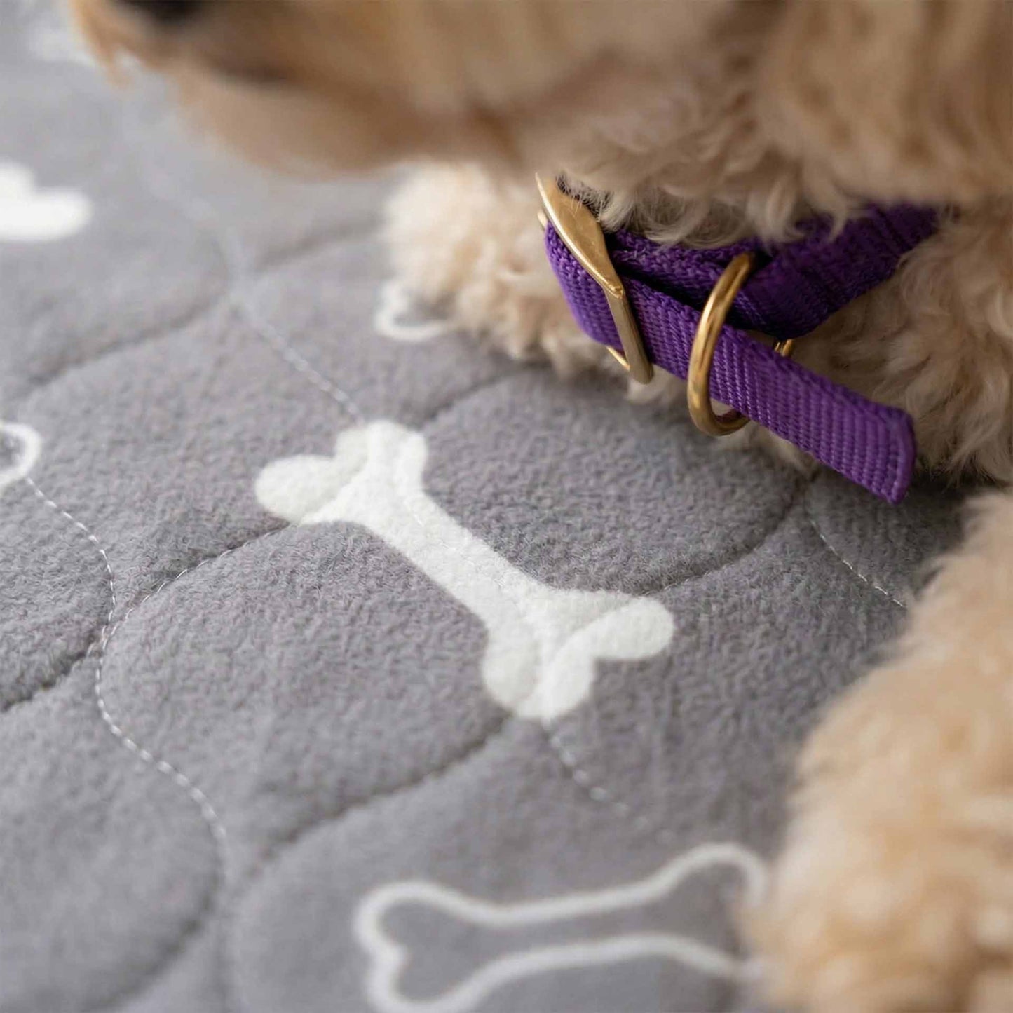 Reusable Dog Pee Pad | Washable & Leak-Proof | Anti-Slip | Eco-Friendly | Replaces Disposable Pads